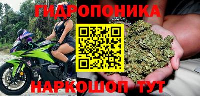 a pvp Гусев