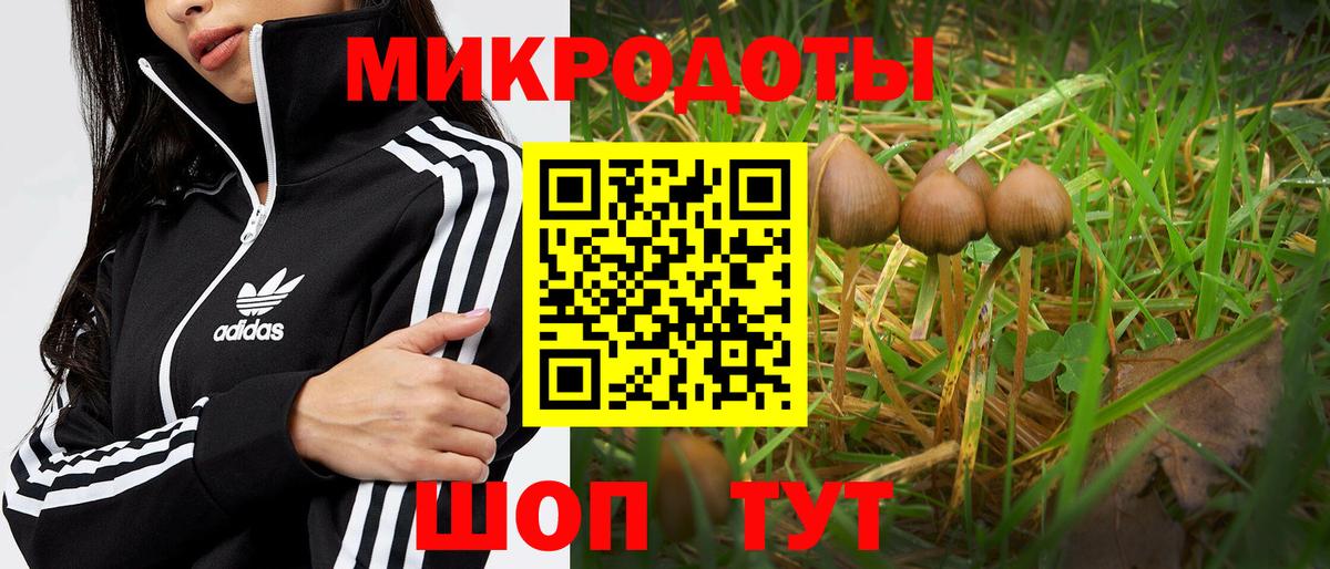 Псилоцибиновые грибы ЛСД Новокубанск
