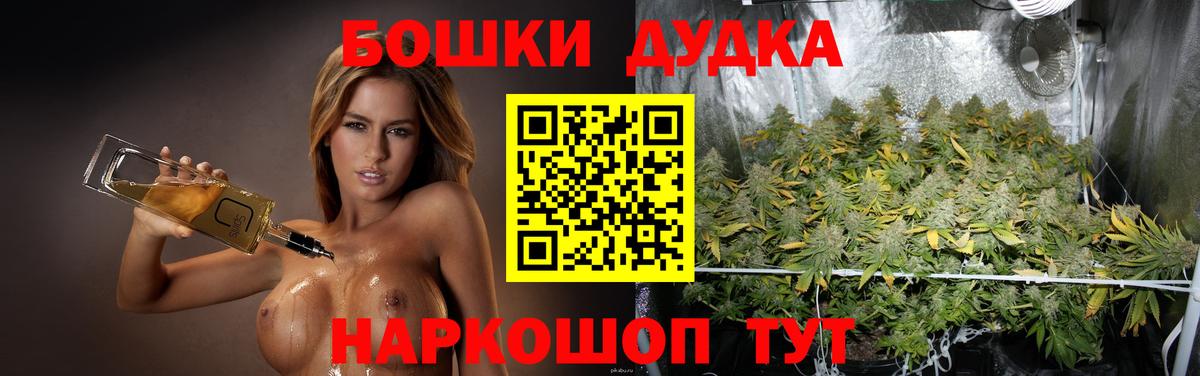 Конопля Bruce Banner  Вход с VPN  Бошки Шишки планчик  Конопля сатива  МАРИХУАНА SATIVA & INDICA  Новокубанск 
